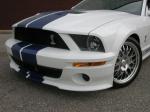 Ford Mustang GT500 by StangNet 2007 года